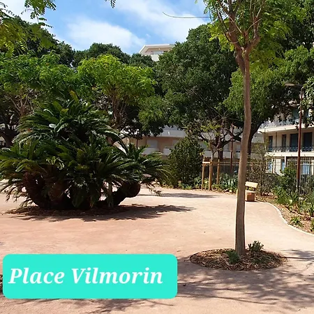 32m2 Les Pins 350 M Climatise Wifi Centre Апартаменты *